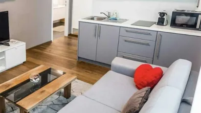 Apartment for rent in Vienna Alsergrund, Vienna Apartment for rent in Vienna Alsergrund, Vienna
