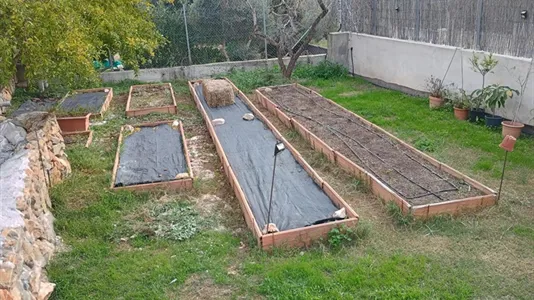 Rooms in Olivella - photo 9