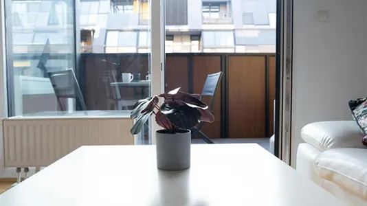 Apartments in Besnica - photo 6