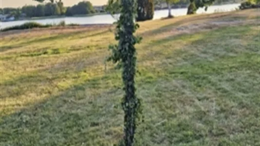 Houses in Norrtälje - photo 13