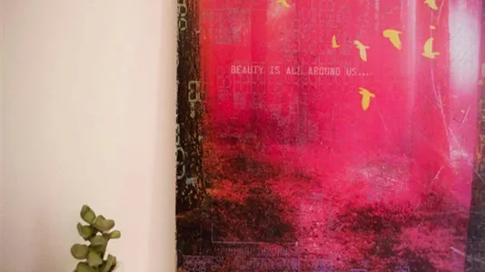 Rooms in Milano Zona 3 - Porta Venezia, Città Studi, Lambrate - photo 7