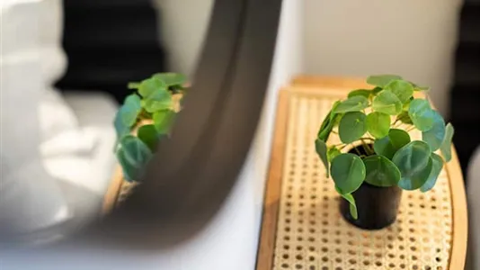 Rooms in Lyon - photo 7