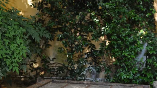 Apartments in Florence - photo 8