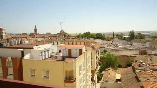 Rooms in Córdoba - photo 10