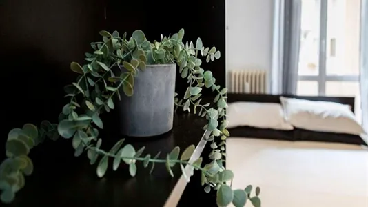 Rooms in Milano Zona 1 - Centro storico - photo 4