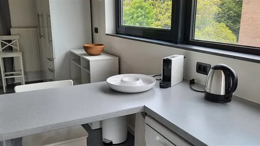 Houses in Hove - photo 4