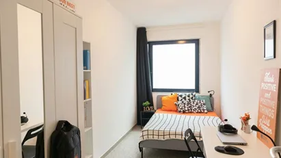 Room for rent in Cagliari, Sardegna