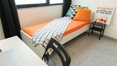 Room for rent in Cagliari, Sardegna