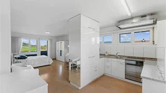 Apartments in Dielsdorf - photo 7