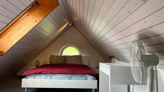 Apartments in Horgen - photo 6