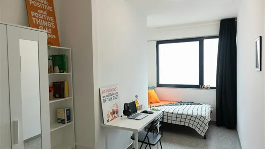 Rooms in Cagliari - photo 1