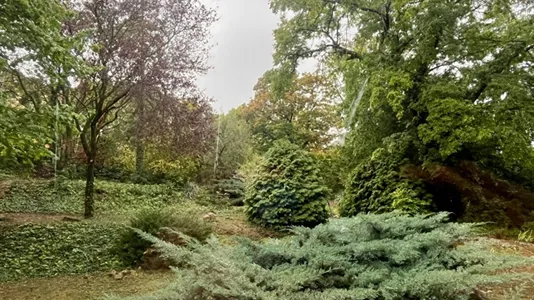 Rooms in Budapest Várkerület - photo 1