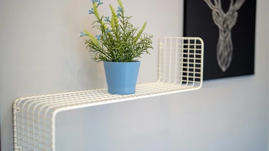 Rooms in Location is not specified - photo 5