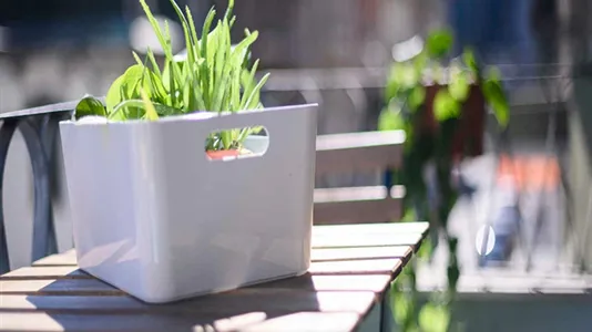 Rooms in Milano Zona 6 - Barona, Lorenteggio - photo 9