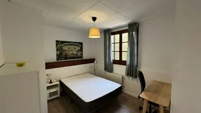 Room for rent in Cerdanyola del Vallès, Cataluña