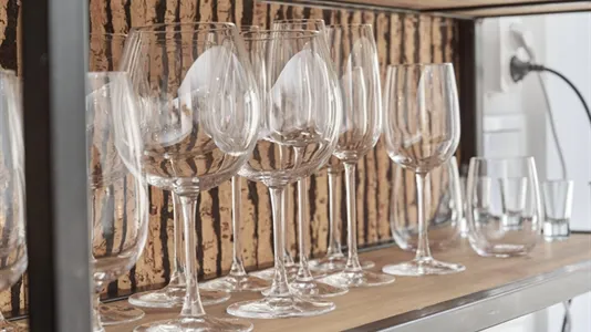 Apartments in Wrocław - photo 5