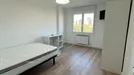 Room for rent, Zaragoza, Aragón, Calle Franco y López