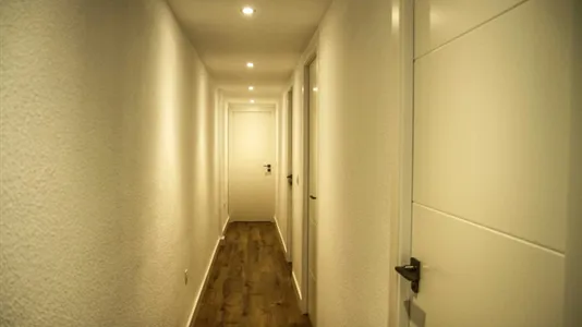 Rooms in Elche/Elx - photo 7