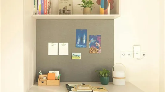 Apartments in Salamanca - photo 6