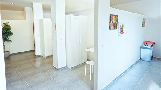 Apartments in Esslingen - photo 4