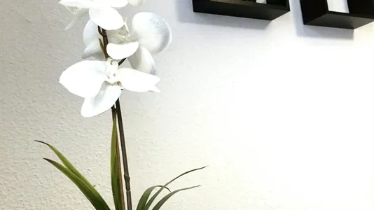 Rooms in Madrid Salamanca - photo 4