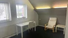 Room for rent, Hengelo, Overijssel, Koekoekweg