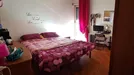 Room for rent, Roma Municipio IX – EUR, Rome, Viale Egeo