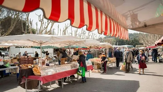 Apartments in Nîmes - photo 8