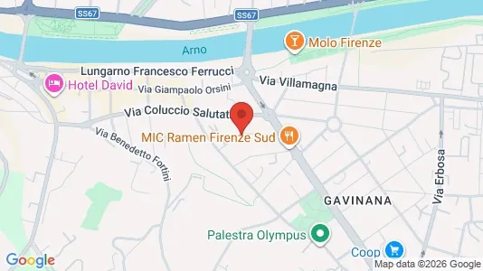 Apartments for rent i Florence - kort over placeringen
