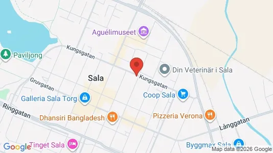 Apartments for rent i Sala - kort over placeringen