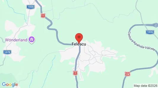 Apartments for rent i Feleacu - kort over placeringen