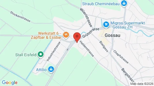 Apartments for rent i Hinwil - kort over placeringen
