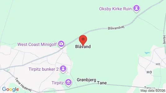 Apartments for rent i Blåvand - kort over placeringen