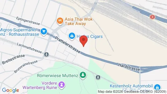 Apartments for rent i Arlesheim - kort over placeringen