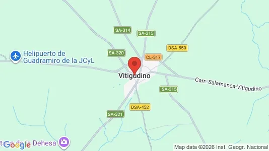 Apartments for rent i Vitigudino - kort over placeringen