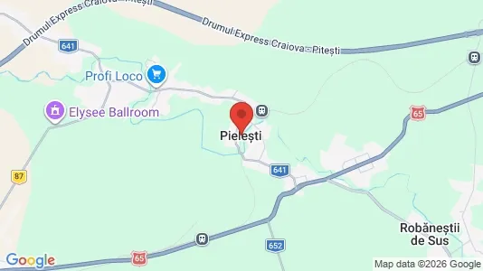 Houses for rent in Pieleşti - Photo from Google Street View