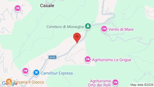 Apartments for rent i Avegno - kort over placeringen