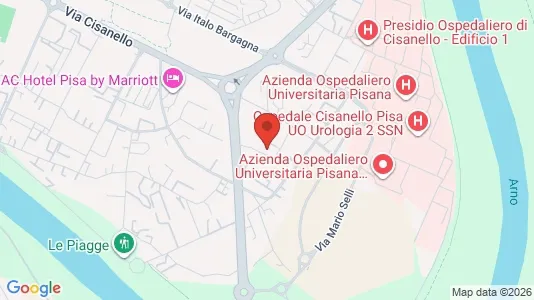 Apartments for rent i Pisa - kort over placeringen
