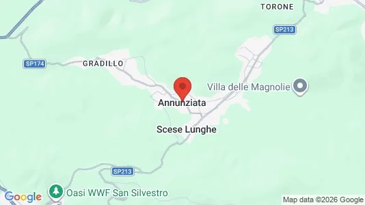 Apartments for rent in Castel Morrone - Photo from Google Street View