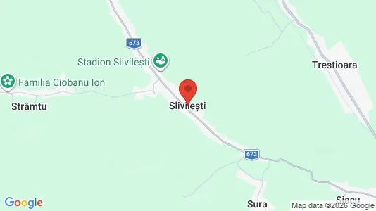 Houses for rent i Slivileşti - kort over placeringen