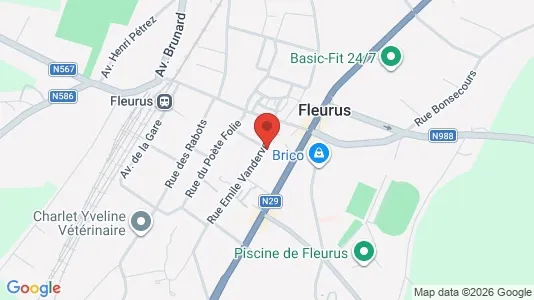 Apartments for rent in Fleurus - Photo from Google Street View