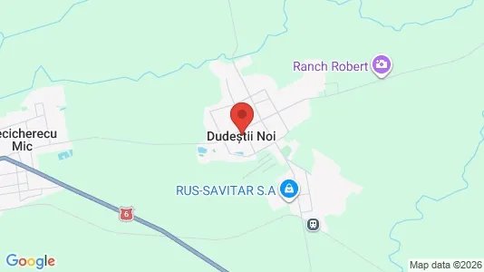 Houses for rent i Dudeştii Noi - kort over placeringen