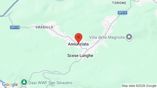 Apartments for rent in Castel Morrone - Photo from Google Street View