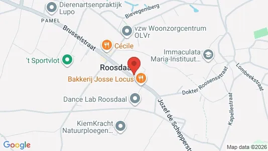 Apartments for rent in Roosdaal - Photo from Google Street View