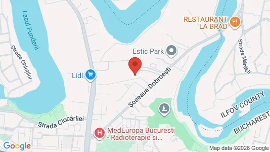 Apartments for rent i Bucharest - Sectorul 2 - kort over placeringen