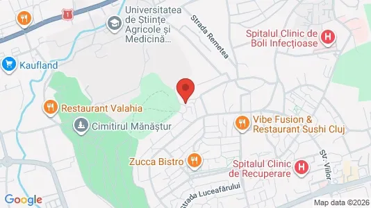 Apartments for rent i Cluj-Napoca - kort over placeringen