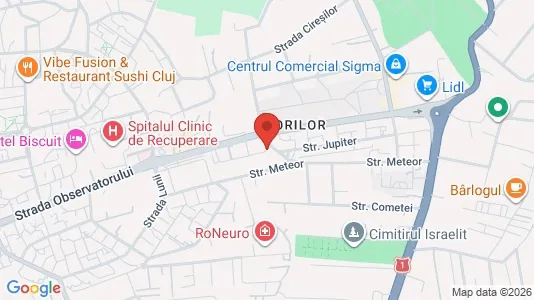 Apartments for rent i Cluj-Napoca - kort over placeringen