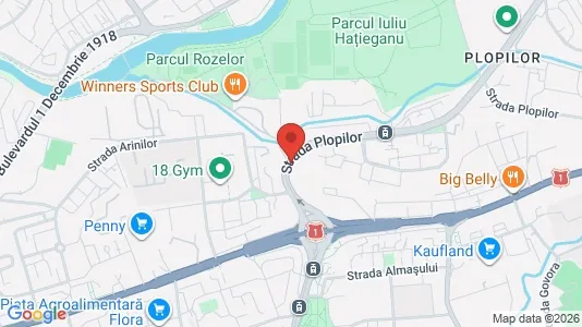 Apartments for rent i Cluj-Napoca - kort over placeringen