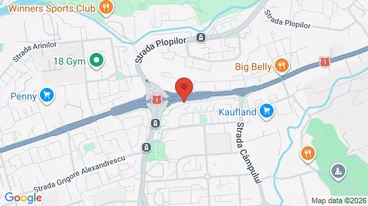 Apartments for rent i Cluj-Napoca - kort over placeringen