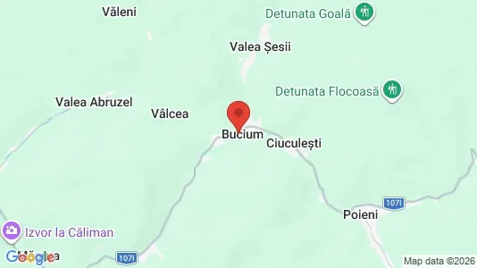 Apartments for rent i Bucium - kort over placeringen